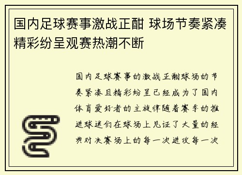 国内足球赛事激战正酣 球场节奏紧凑精彩纷呈观赛热潮不断