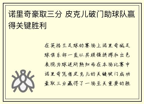 诺里奇豪取三分 皮克儿破门助球队赢得关键胜利