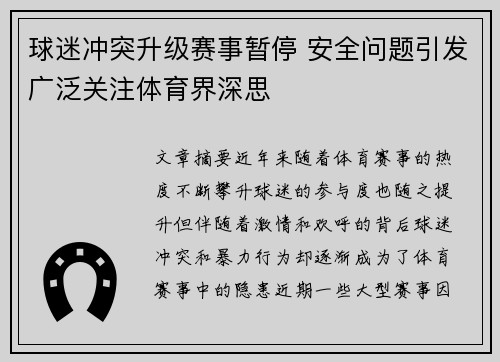 球迷冲突升级赛事暂停 安全问题引发广泛关注体育界深思
