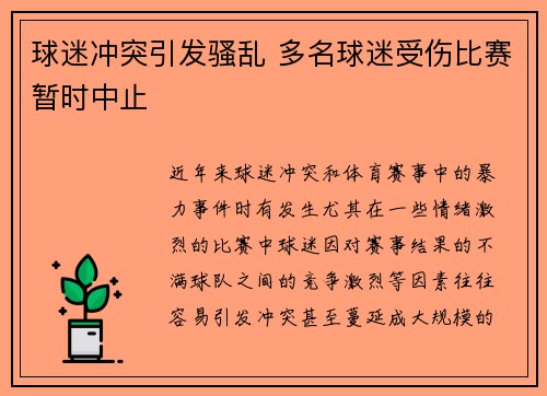 球迷冲突引发骚乱 多名球迷受伤比赛暂时中止